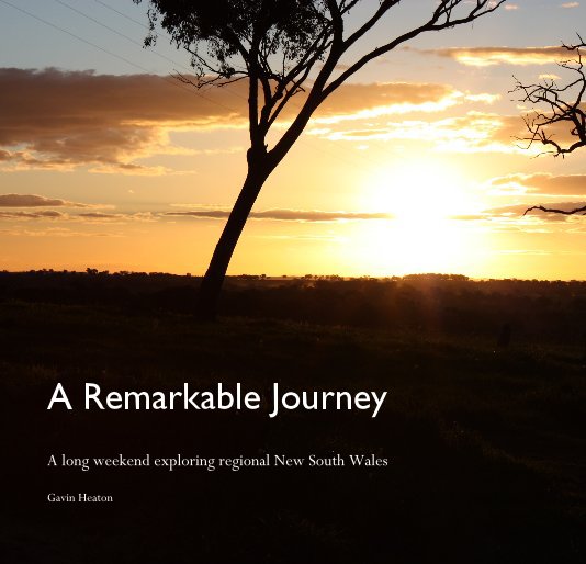 View A Remarkable Journey by Gavin Heaton