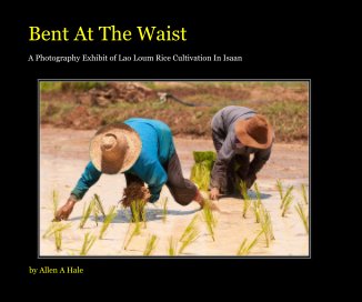Bent At The Waist book cover