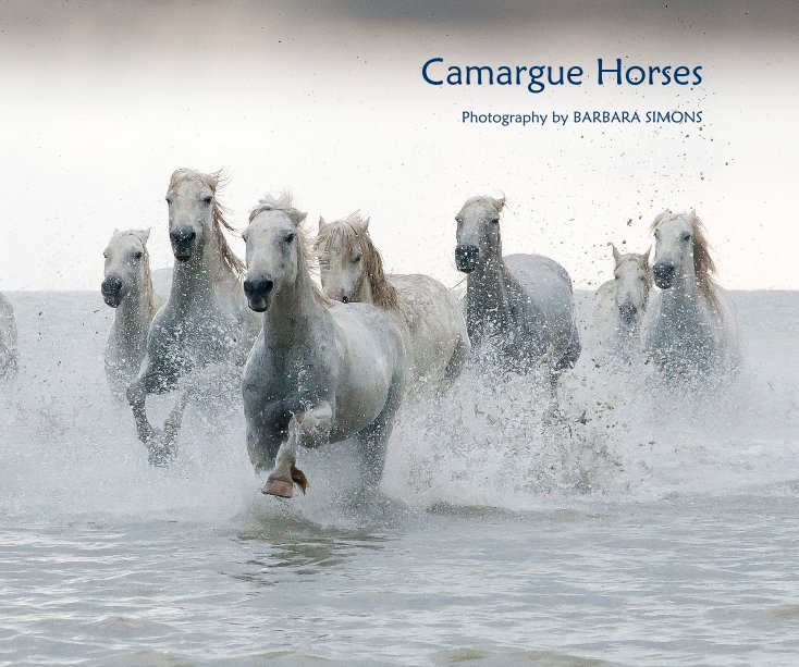View CAMARGUE HORSES by BARBARA SIMONS