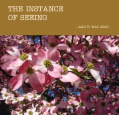 THE INSTANCE 
OF SEEING book cover