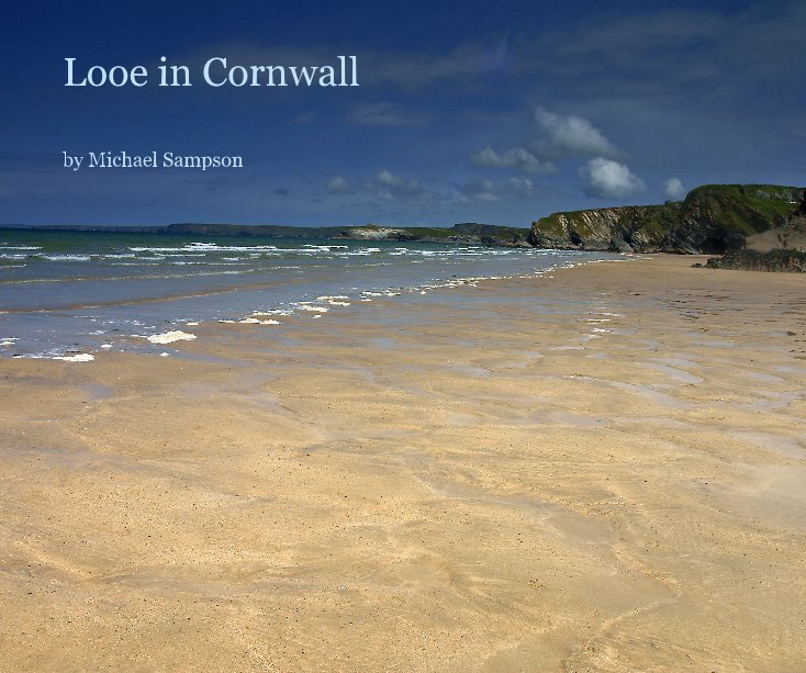 View Looe in Cornwall by Michael Sampson