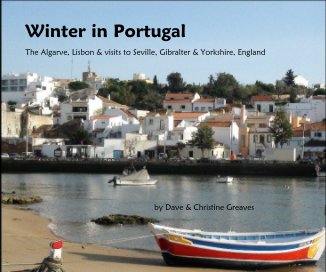 Winter in Portugal book cover