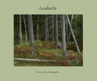 Acadia'06 book cover