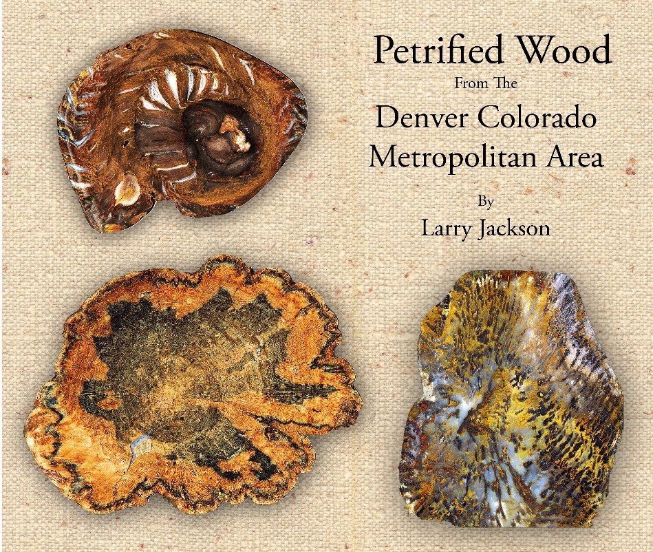 View Petrified Wood From The Denver Colorado Metro Area by Larry Jackson, Photography by Joe Taubr