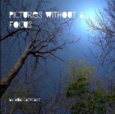 Pictures without a Focus book cover