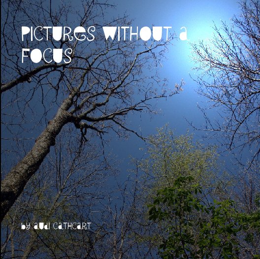 View Pictures without a Focus by Audi Cathcart