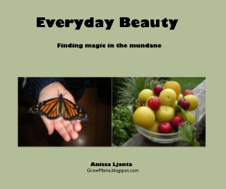 Everyday Beauty book cover