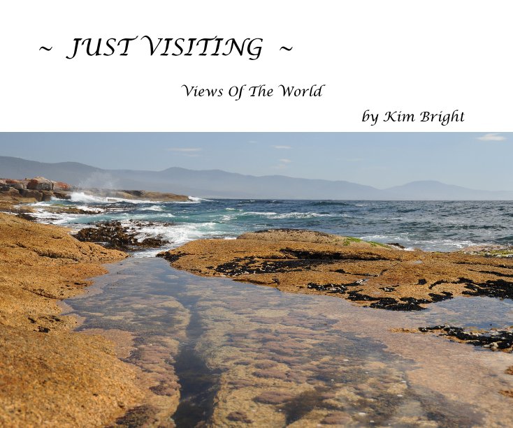 Ver ~ JUST VISITING ~ (Hardcover) First edition por Kim Bright