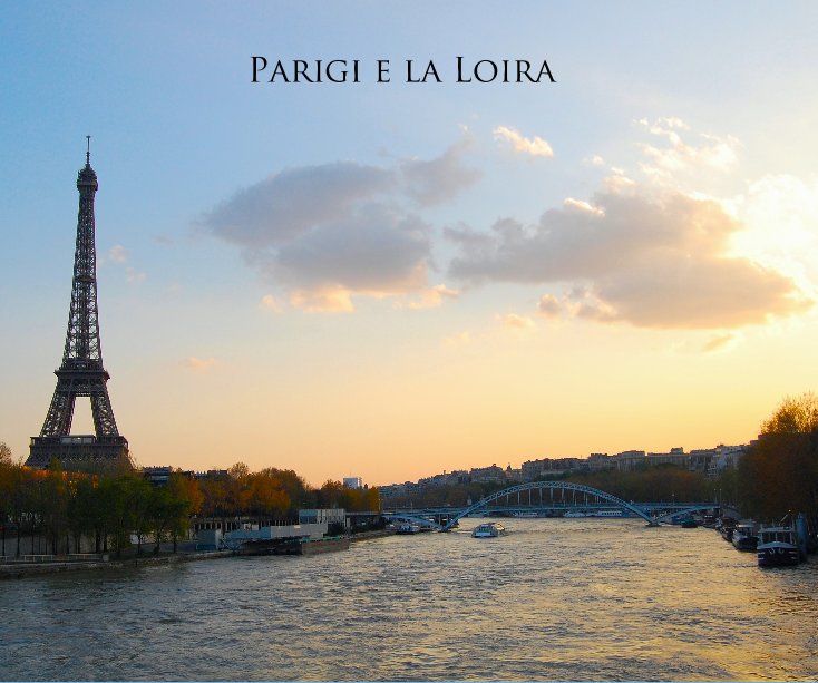 View Parigi e la Loira by Luca Volpi