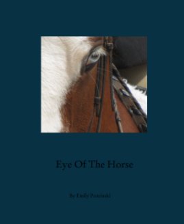 Eye Of The Horse book cover