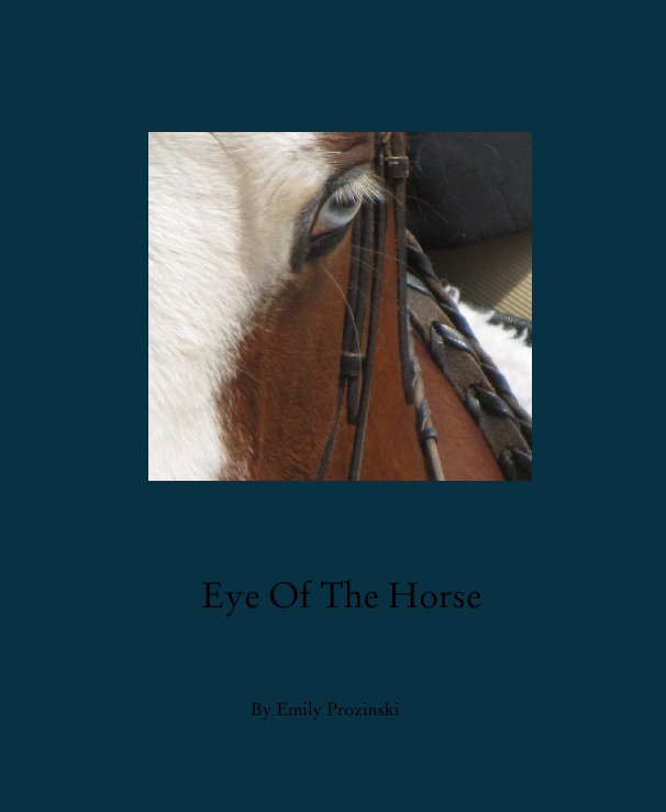 View Eye Of The Horse by Emily Prozinski