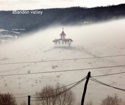 abandon valley book cover