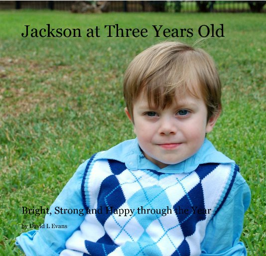 View Jackson at Three Years Old by David L Evans
