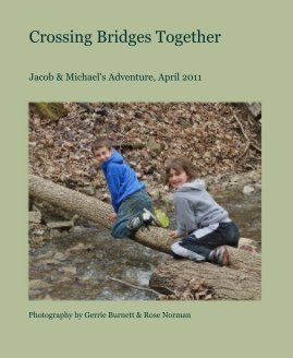Crossing Bridges Together book cover