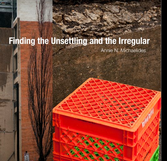 Visualizza Finding the Unsettling and the Irregular di Annie N. Michaelides