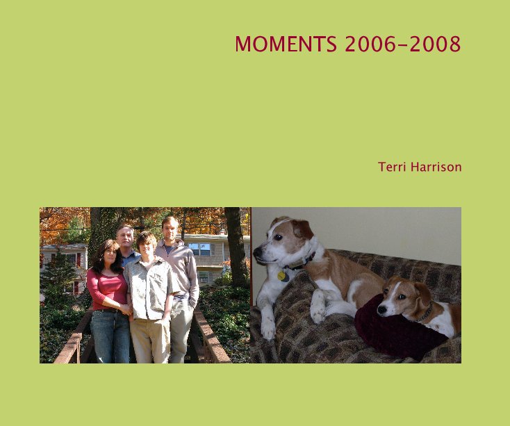 View MOMENTS 2006-2008 by Terri Harrison