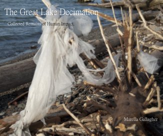 The Great Lake Decimation book cover