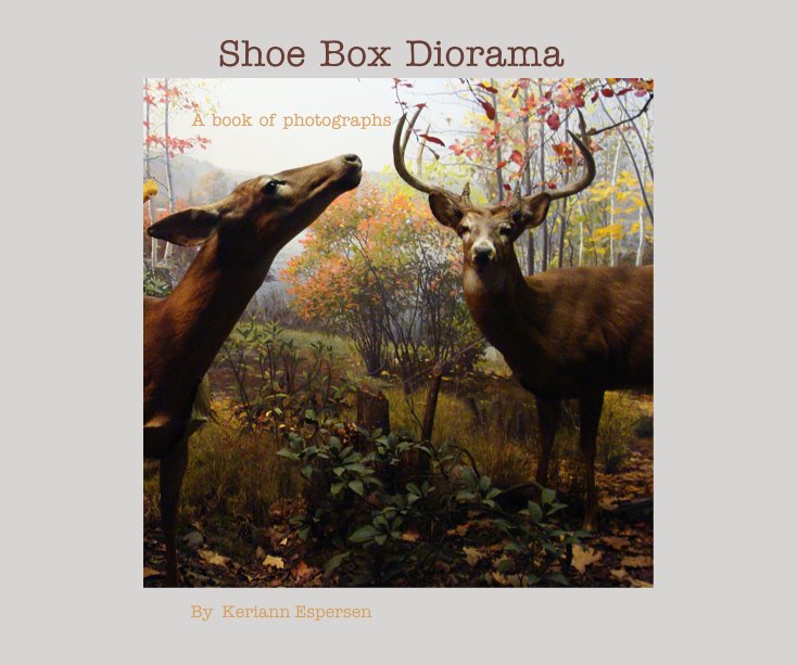 Bekijk Shoe Box Diorama op Keriann Espersen
