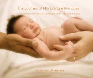 The Journey of Nila Lorraine Mendoza book cover