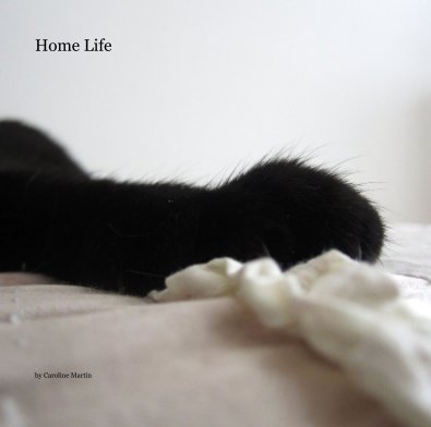 Home Life book cover