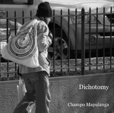 Dichotomy book cover