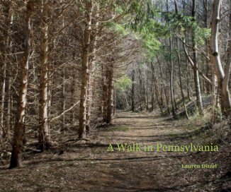 A Walk in Pennsylvania book cover