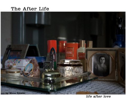 The After Life book cover