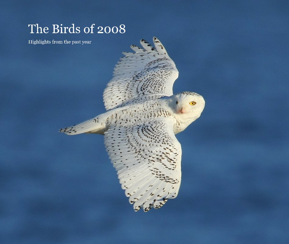 View The Birds of 2008 by Highlights from the past year
