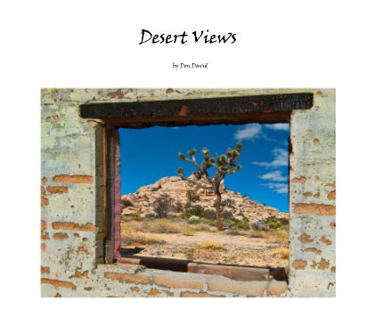 Desert Views book cover