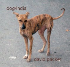 dog/india book cover