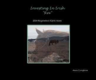 Investing In Irish "Rev" book cover