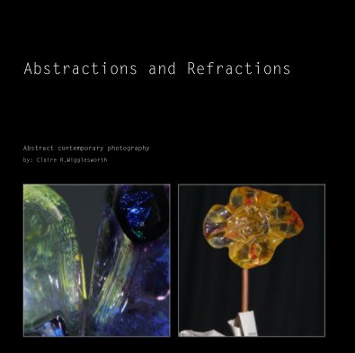 Abstractions and Refractions book cover
