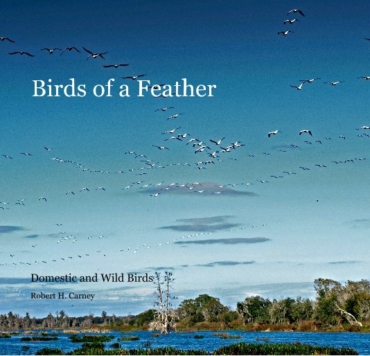 View Birds of a Feather by Robert H. Carney