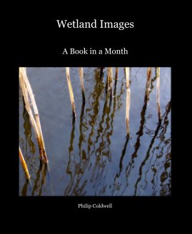 Wetland Images book cover