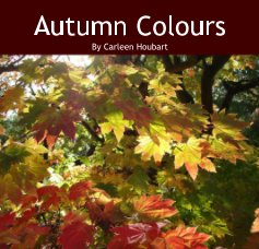 Autumn Colours book cover