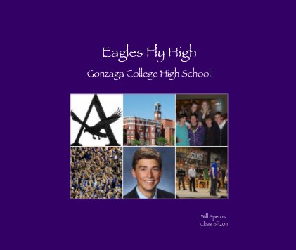 Eagles Fly High book cover