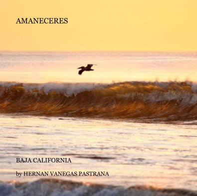 AMANECERES book cover