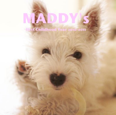 MADDY's First Childhood Year 2010-2011 book cover