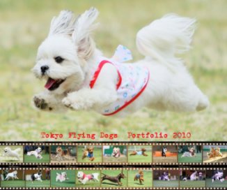 Tokyo Flying Dogs Portfolio 2010 book cover