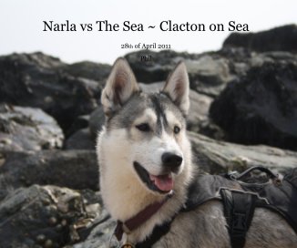 Narla vs The Sea ~ Clacton on Sea book cover