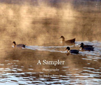 A Sampler Photographs Taylor Prewitt book cover