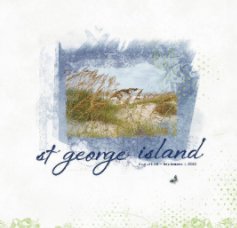 St. George Island 2010 book cover