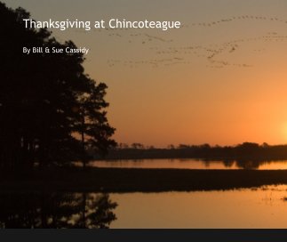 Thanksgiving at Chincoteague book cover