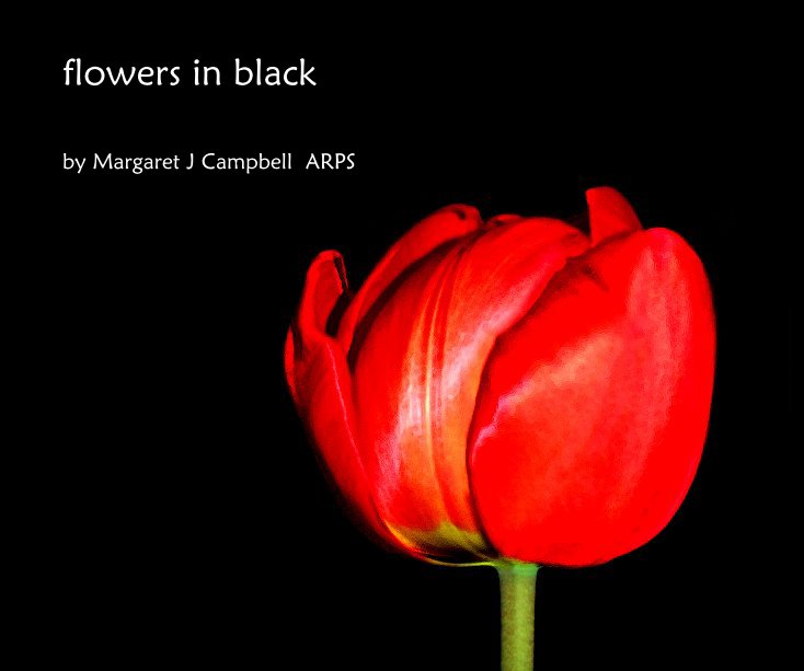 View flowers in black by Margaret J Campbell ARPS