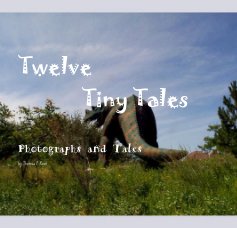 Twelve Tiny Tales book cover