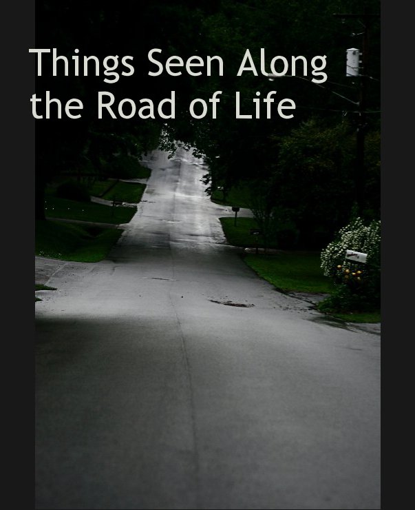 Ver Things Seen Along the Road of Life por mesullivan