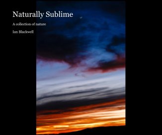 Naturally Sublime book cover