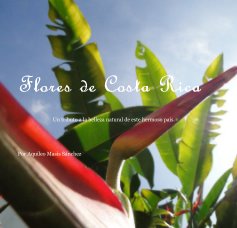 Flores de Costa Rica book cover