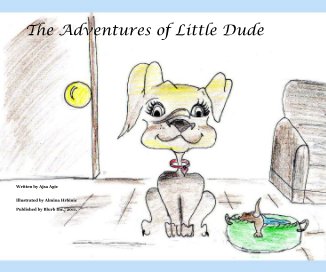 The Adventures of Little Dude book cover