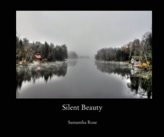 Silent Beauty book cover